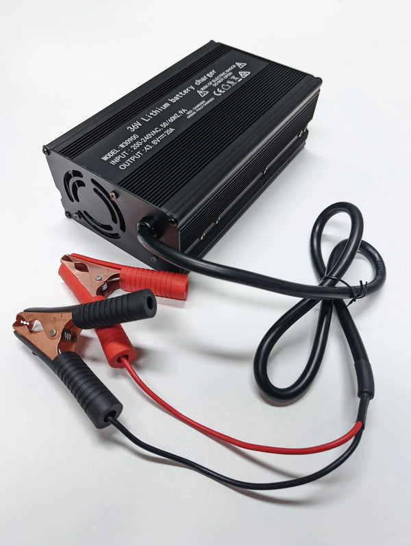FPV Power LiFePO4 36V 20A Charger - 10615
