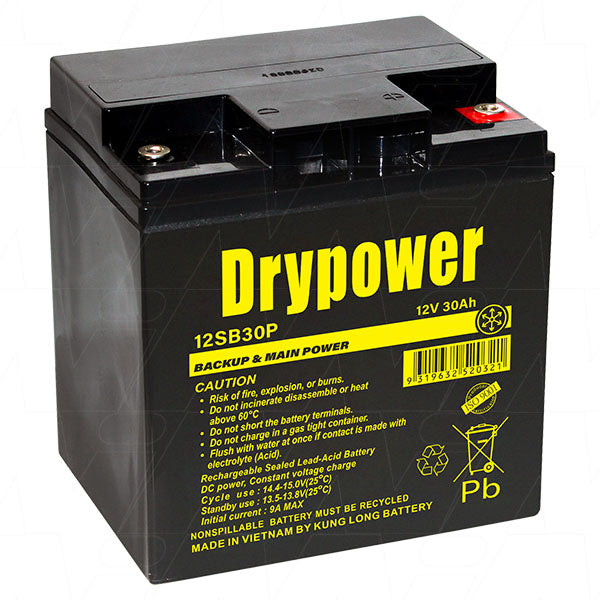 Drypower 12V 30Ah Sealed Lead Acid Battery 12SB30P