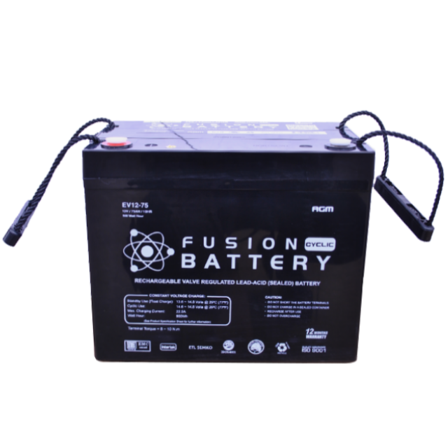 Fusion 6V 470CCA EV12-75 Electric Vehicle series Battery