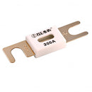 CIP142300000 - ANL-fuse 300A/80V for 48V products (1 pc) Product Image